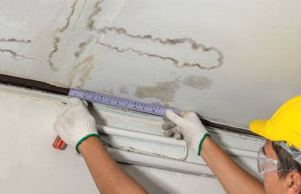Reliable Structural Drying contractor in Sidney, MI by Water Damage Irwin